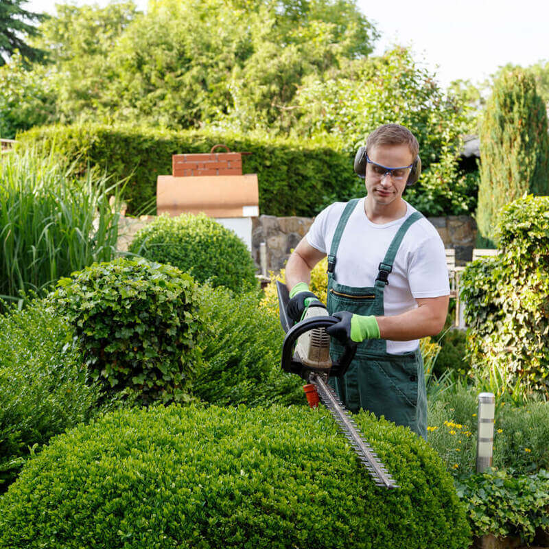 Onderhandelingsresultaat Cao Groothandel Bloemen En Planten ...